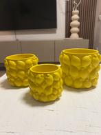 3 prachtige citroen potjes, Ophalen, Rond, Nieuw, Balkon