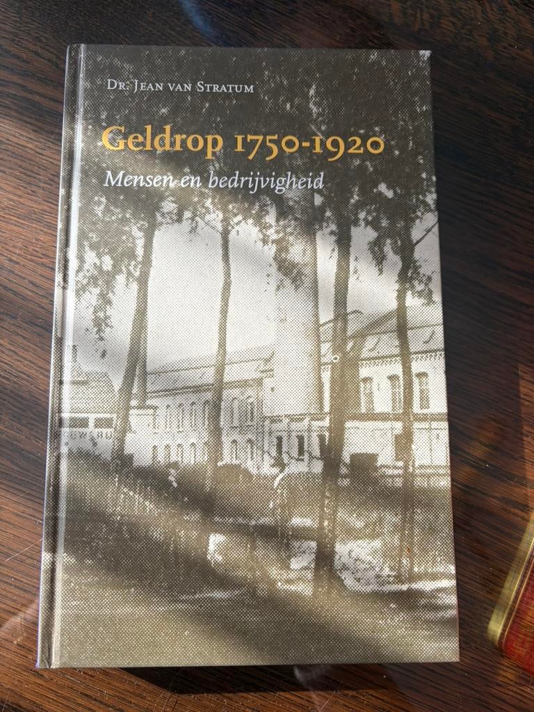 Boek: Geldrop 1750 - 1920 Mensen en bedrijvigheid, Boeken, Geschiedenis | Stad en Regio, Ophalen of Verzenden