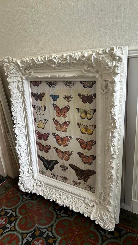 Supergrote fotolijst. Wit, Ophalen, Zo goed als nieuw, Hout, Minder dan 50 cm