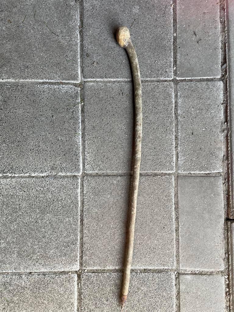 Antieke schaapsherders stok, Ophalen