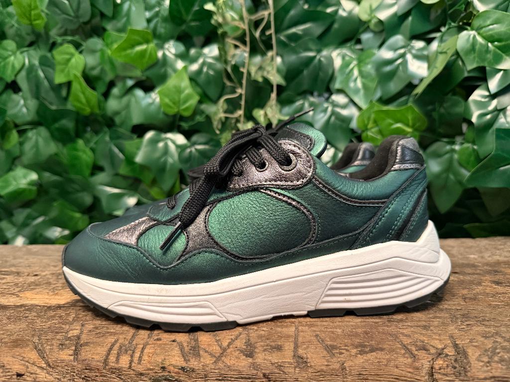 gewoon Nieuwe sneakers van Xsensible maat 38 (wijdte G)