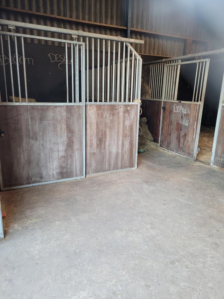 Stalling/weide shetlander kleine pony, Stalling