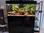 Compleet aquarium aqualantis 120cm, Dieren en Toebehoren, Vissen | Aquaria en Toebehoren, Ophalen, Gevuld zoetwateraquarium