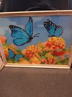 Foto lijst met vlinders, Ophalen of Verzenden