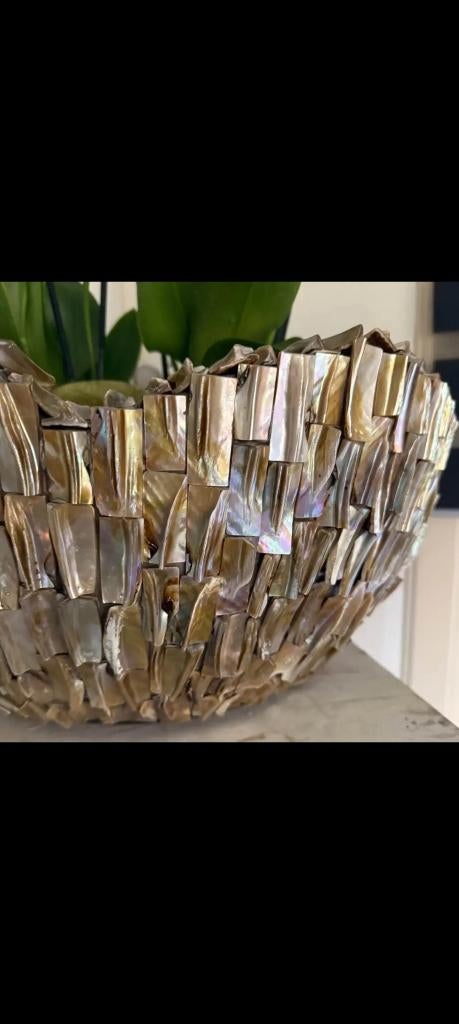 Schelpenvaas, Huis en Inrichting, Woonaccessoires | Vazen, Ophalen, Overige materialen, Overige kleuren, 50 tot 75 cm