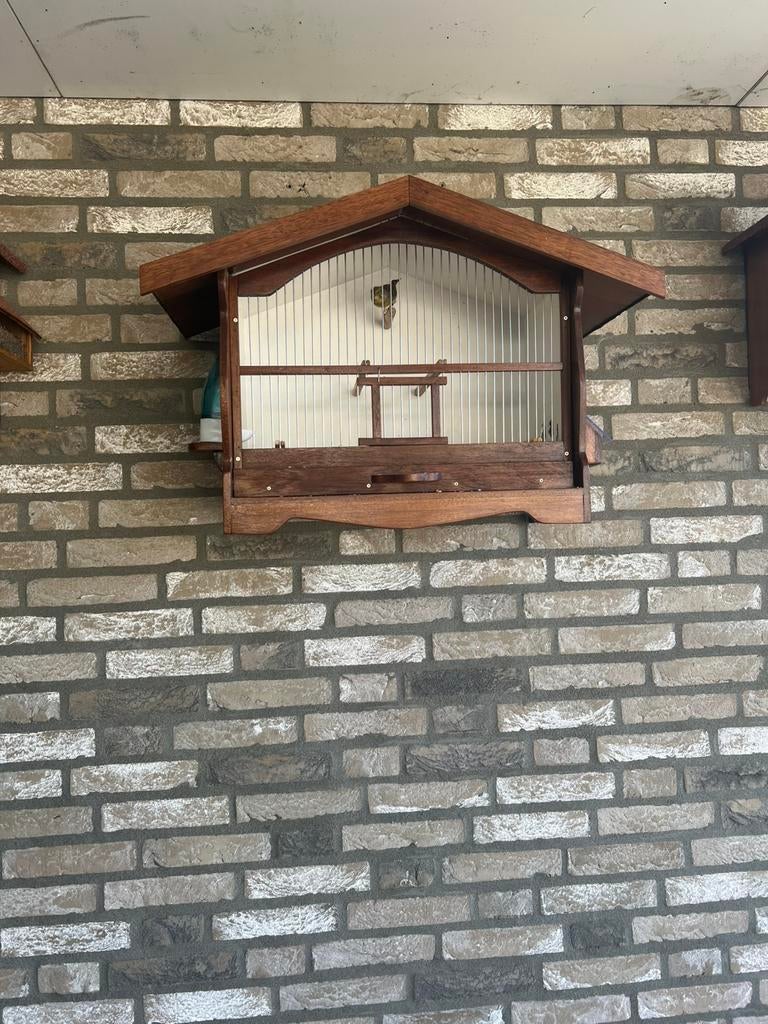 Putters kooien, Meerdere dieren