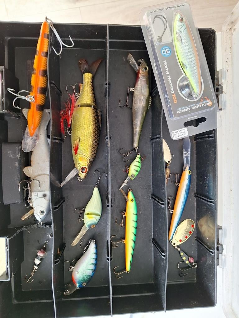 Kunstaas pluggen rapala savage gear spro  salmo stanly box, Watersport en Boten, Hengelsport | Roofvissen, Ophalen of Verzenden