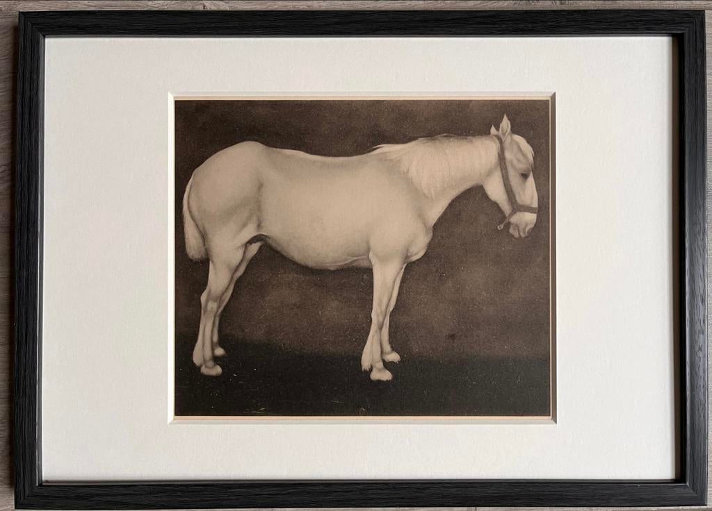 Jan Mankes 1889-1920 / Heliogravure Wit Paard 1923, Antiek en Kunst, Kunst | Etsen en Gravures, Ophalen of Verzenden