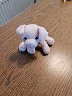 varkens knuffeltje   (dv10, Ophalen of Verzenden, Gebruikt, Overige typen