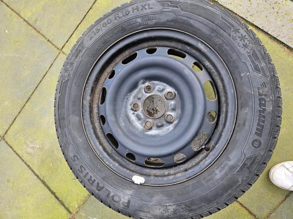 Winterbanden Barum Polaris 5 215/60 R16 H XL , Ophalen