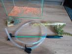 Aquarium, Ophalen, Gebruikt, Leeg aquarium