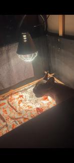 Werpkist met toebehoren, Ophalen, Gebruikt, 110 cm of meer, 100 cm of meer