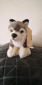 Knuffel Husky., Ophalen of Verzenden, Nieuw, Hond