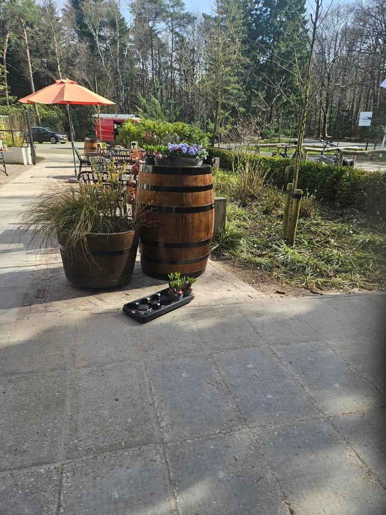 Wijnvat Bloembakken, Olijfbakken, IJsbad, Vijver, Regenton, Gebruikt, Rond, Ophalen of Verzenden, Balkon