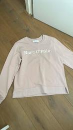 Marco polo sweater M, Kleding | Dames, Ophalen of Verzenden, Zo goed als nieuw