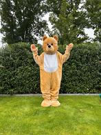 Te Huur: Beerkostuum, Mascotte, Dieren, Carnaval, Ophalen of Verzenden, Zo goed als nieuw, Overige