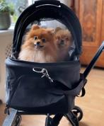 Honden buggy - wagen innopet, Ophalen of Verzenden, Zo goed als nieuw