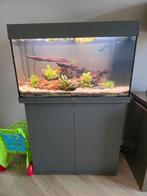 Juwel Rio 125, Dieren en Toebehoren, Ophalen, Zo goed als nieuw, Gevuld zoetwateraquarium