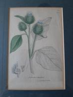 2 Antieke Tekeningen, Ingekleurd, Ingelijst, Antiek en Kunst, Kunst | Schilderijen | Klassiek, Verzenden