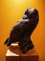 Prachtige bronzen bosuil van beeldhouwster Hetty Heyster, Ophalen