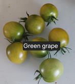 Tomaat Green grape zaden BIO 10x, Ophalen of Verzenden, Voorjaar, Volle zon, Zaad