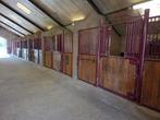 paardenstallen te huur, Dieren en Toebehoren, Stalling en Weidegang, Weidegang, 2 of 3 paarden of pony's