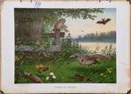 Vrienden der duisternis / M.A. Koekkoek, Ophalen, Natuur en Biologie