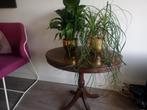 Antieke bijzettafel met planten, Antiek en Kunst, Ophalen of Verzenden