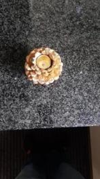 Dennenappel theelichthouder, Diversen, Kerst, Ophalen of Verzenden, Nieuw