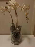 Riviera Maison Vaas - 34cm hoog, 20cm diameter, Ophalen, Gebruikt, Overige kleuren, Glas