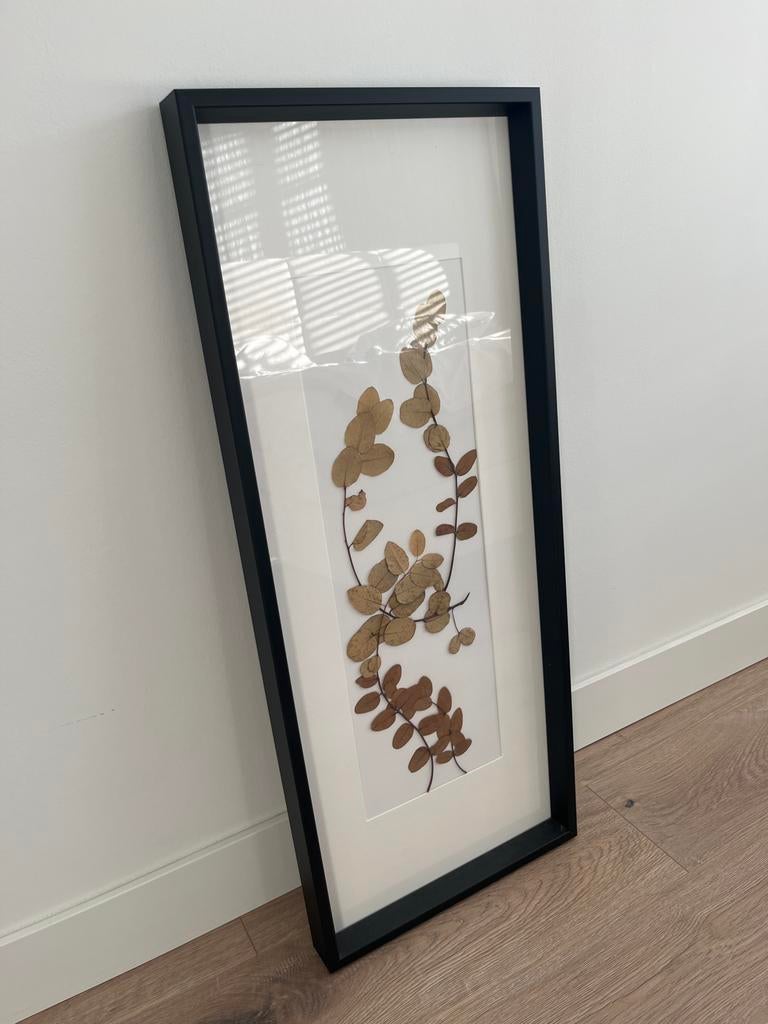 Ikea Olunda foto - schilderij lijst, Ophalen, Zo goed als nieuw, 75 cm of meer, 50 tot 75 cm