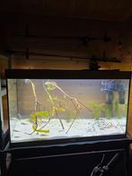Aquatlantis Aquarium incl toebehoren, Dieren en Toebehoren, Vissen | Aquaria en Toebehoren, Ophalen, Zo goed als nieuw, Leeg aquarium