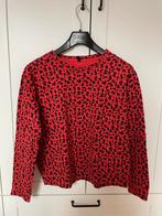 Trui M met panterprint, Maat 38/40 (M), Ophalen of Verzenden, Zo goed als nieuw, Hema