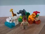 lego duplo babydierentuin, tijger, ijsbeer, giraffe, olifant, Ophalen of Verzenden, Gebruikt, Duplo