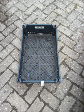 Partij kunststof kratjes, kisten, bakken 40x60x15  beschikbaar voor biedingen