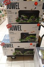 Aquaria erg voordelig!, Ophalen, Nieuw, Leeg aquarium