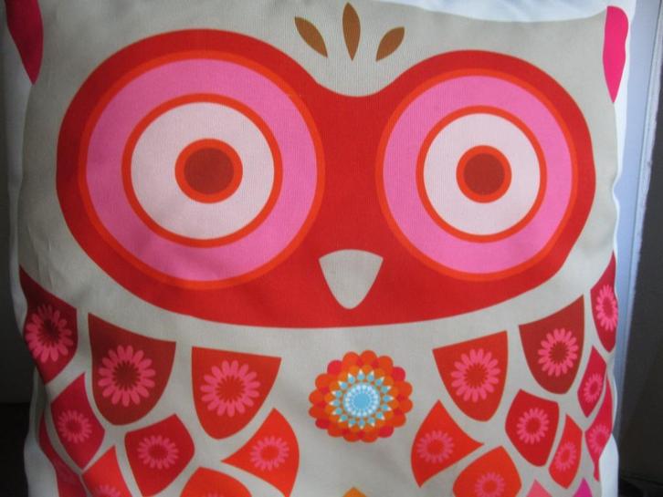 Uil Kussen~Uilenkussen~Sierkussen Uiltje~Polyester~Rits, Huis en Inrichting, Woonaccessoires | Kussens, Zo goed als nieuw, Vierkant