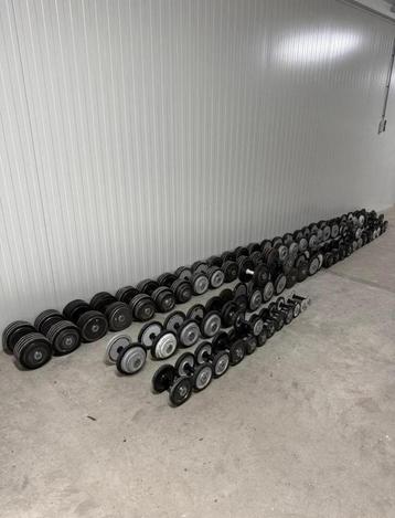 Dumbell set 1117 kg / dumbells / halters / koopje beschikbaar voor biedingen