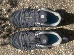Salomon X-Ultra GTX Wandelschoenen, Kleding | Dames, Salomon, Grijs, Gedragen, Wandelschoenen
