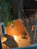 Groot terrarium., Dieren en Toebehoren, Reptielen en Amfibieën | Toebehoren, Ophalen, Gebruikt, Verlichting