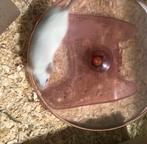 Muis, Dieren en Toebehoren, Overige soorten, Tam, 0 tot 2 jaar