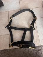 Halsters, Ophalen of Verzenden, Zo goed als nieuw, Overige soorten