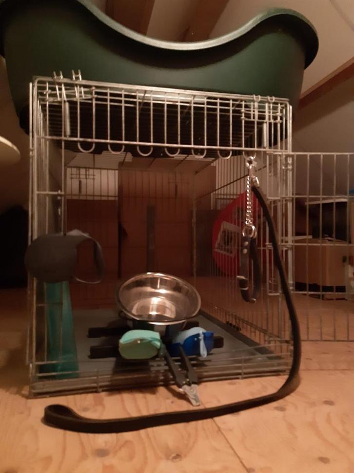 Benz, hondenmand en meer voor middelgrote hond., Dieren en Toebehoren, Honden-accessoires, Gebruikt, Ophalen