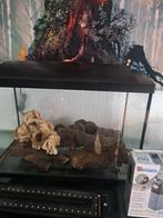 Aquarium superfish tropical starter kit, Ophalen, Zo goed als nieuw, Leeg aquarium