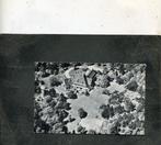 Ansicht Bloemendaal - Kinderhuis Schapenduinen, Verzenden, 1940 tot 1960, Gelopen, Noord-Holland