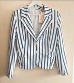 Nieuwe colberd (STUDIO), Kleding | Dames, Maat 38/40 (M), Blauw, Studio, Nieuw