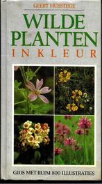 Wilde planten in kleur - Geert Hüsstege, Boeken, Natuur, Ophalen of Verzenden, Geert Hüsstege, Zo goed als nieuw, Bloemen, Planten en Bomen