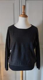 Miss Etam donkerbruin glitter truitje maat L, Kleding | Dames, Maat 38/40 (M), Bruin, Ophalen of Verzenden, Zo goed als nieuw