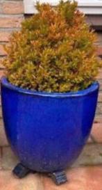 Grote geglazuurde bloempotten blauw een sets, Tuin en Terras, Bloempotten, Gebruikt, 40 cm of meer, Rond, Terracotta