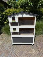 Cavia flat met opbergruimte, Dieren en Toebehoren, Knaagdieren en Konijnen | Hokken en Kooien, Ophalen, Hok, Cavia, 110 cm of meer